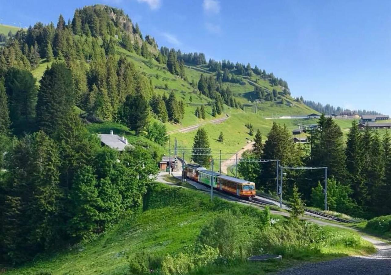 Maison De Montagne De Bretaye Acces Par Le Train Arret Bouquetin Villars-sur-Ollon Buitenkant foto
